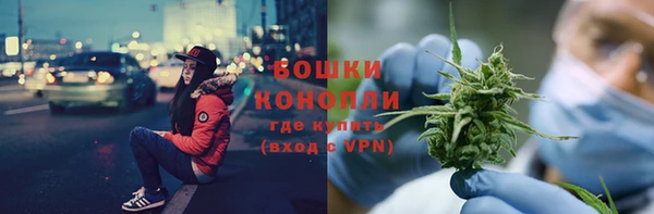 spice Верея