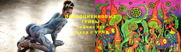 spice Верея