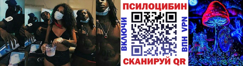 Псилоцибиновые грибы мицелий  где купить наркоту  Губаха 